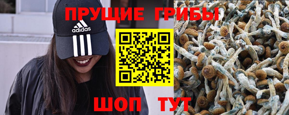 Галлюциногенные грибы прущие грибы  купить наркотики сайты  Междуреченск  Вход с VPN 